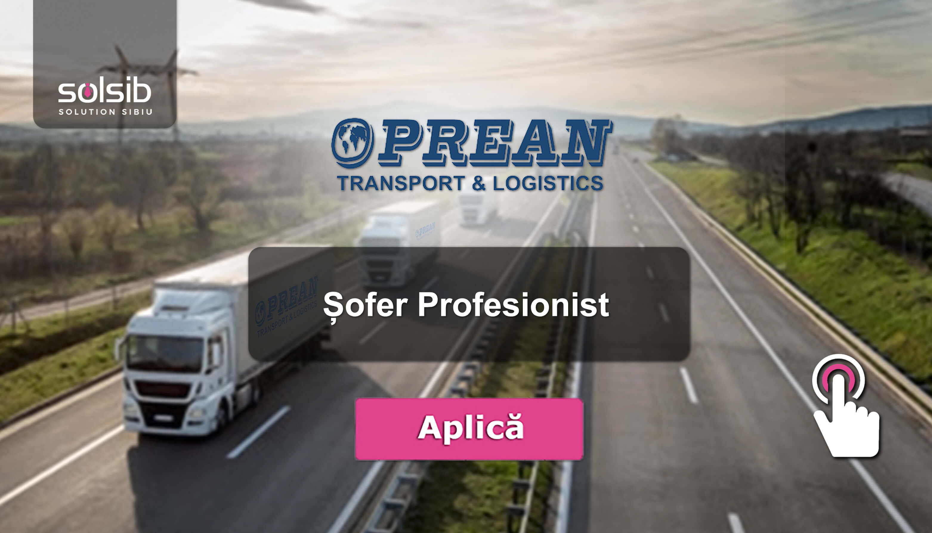 Sofer Profesionist Oprean