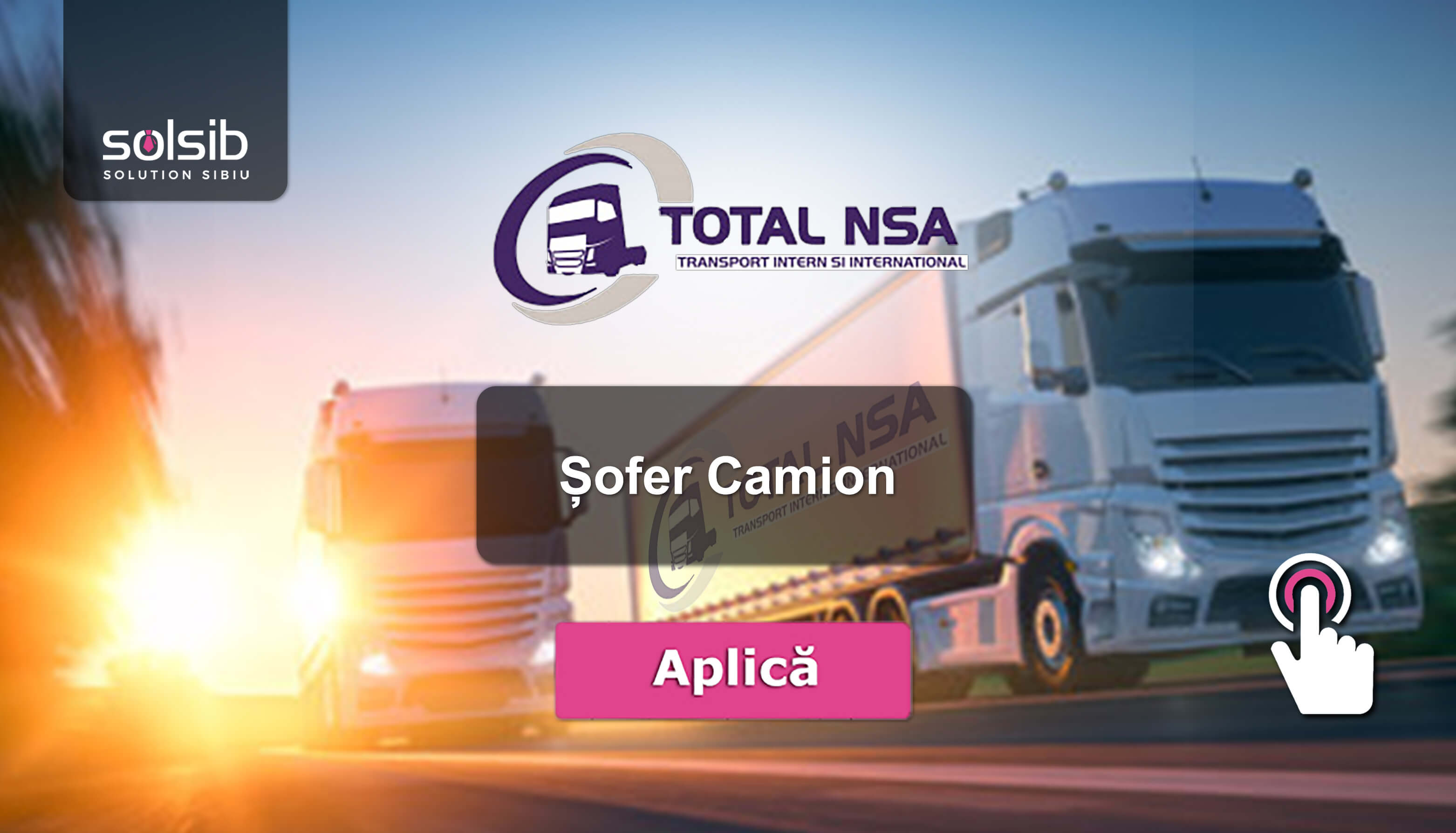 Sofer Camion Total