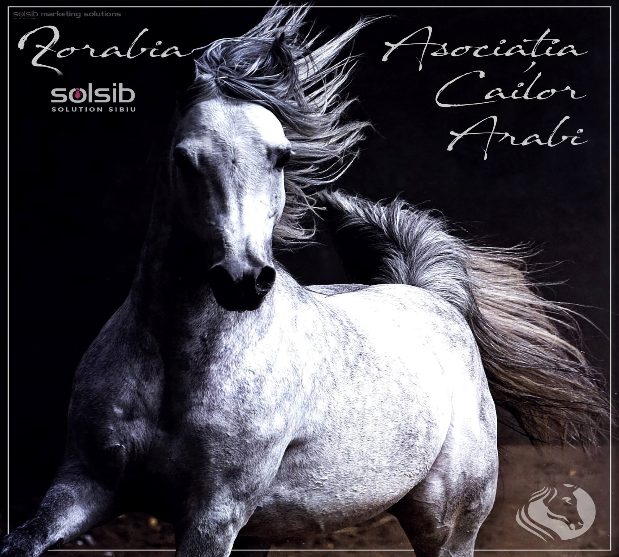 Asociatia Calior Arabi - Zorabia